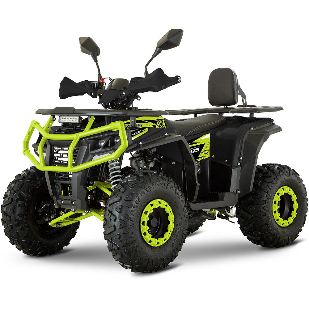 ATV de Copii RDB AFP125, 125cc, 4 Timpi, 45 km/h