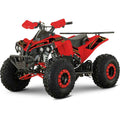 ATV de Copii RDB AN125, 125cc, 4 Timpi, 45 km/h