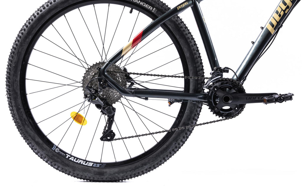 Bicicleta MTB Pegas DRUMET PRO M 29'' GRI CARBON