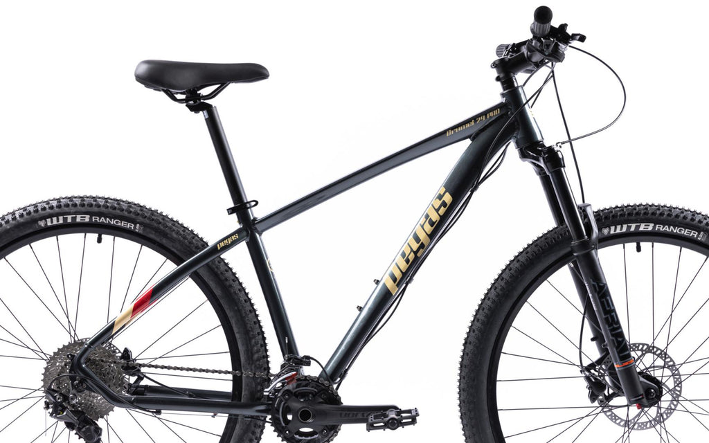 Bicicleta MTB Pegas DRUMET PRO M 29'' GRI CARBON