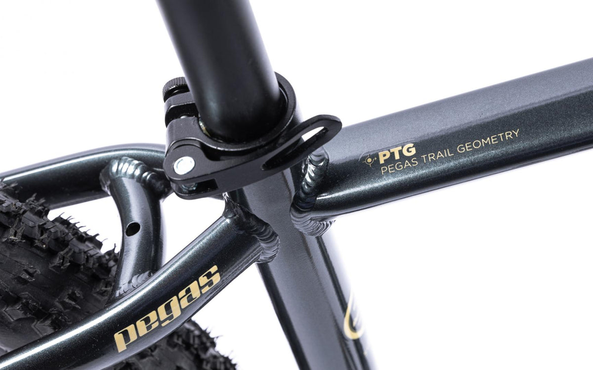 Bicicleta MTB Pegas DRUMET PRO M 29'' GRI CARBON