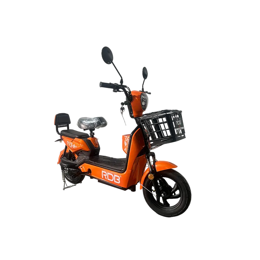 SCUTER ELECTRIC RDB YG4