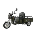 TRICICLU ELECTRIC RDB L-KLASS4 FARA PERMIS