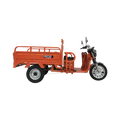 TRICICLU ELECTRIC RDB XL-KLASS4
